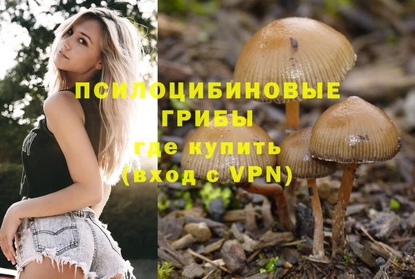 каннабис Алзамай
